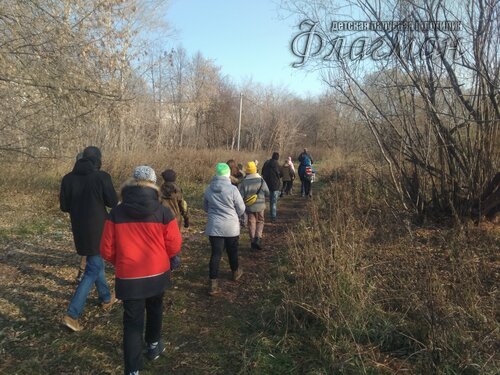 IMG_20201104_120349